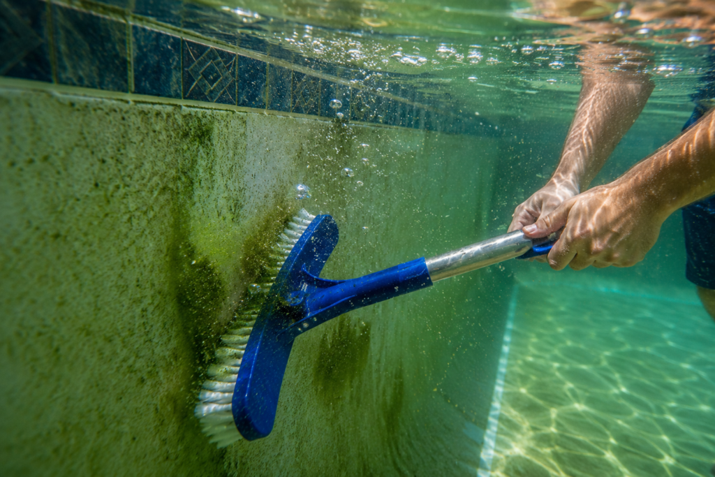 Pool brush on telescopic pole scrubbing algae off the underwater wall of a green pool