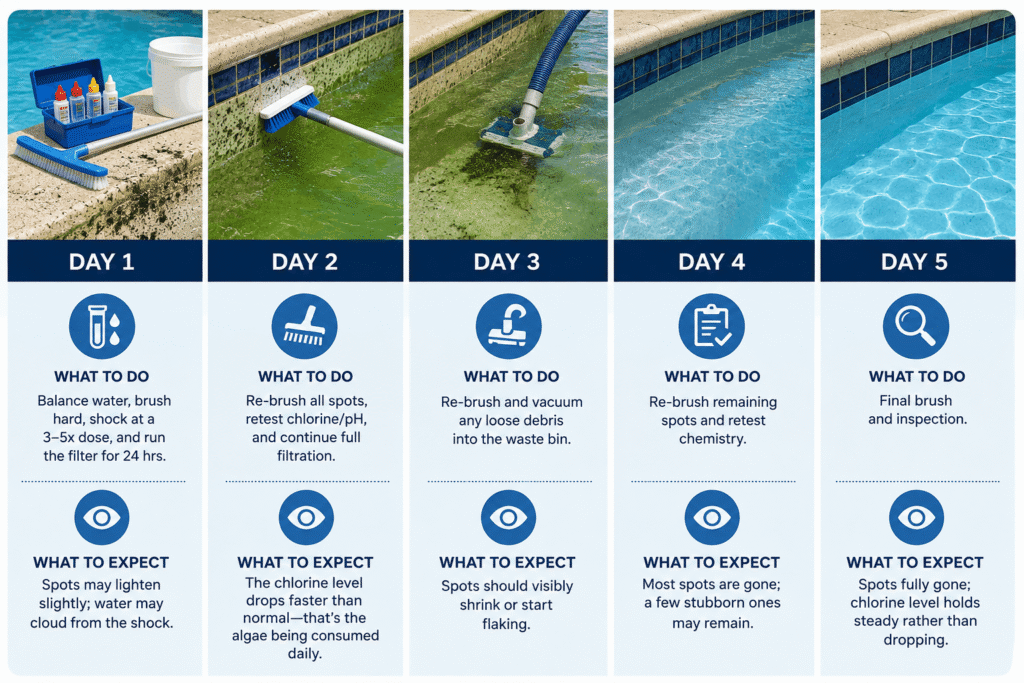 Five-day black algae pool treatment timeline showing brushing, shocking, filtration, vacuuming, and gradual algae removal