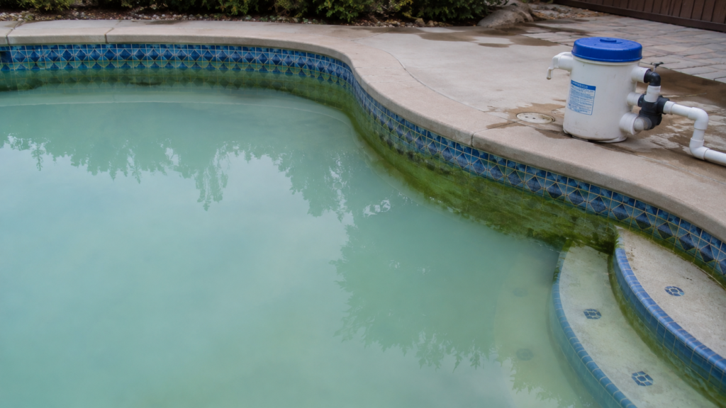 Cloudy water and algae caused by cyanuric acid too high and chlorine lock